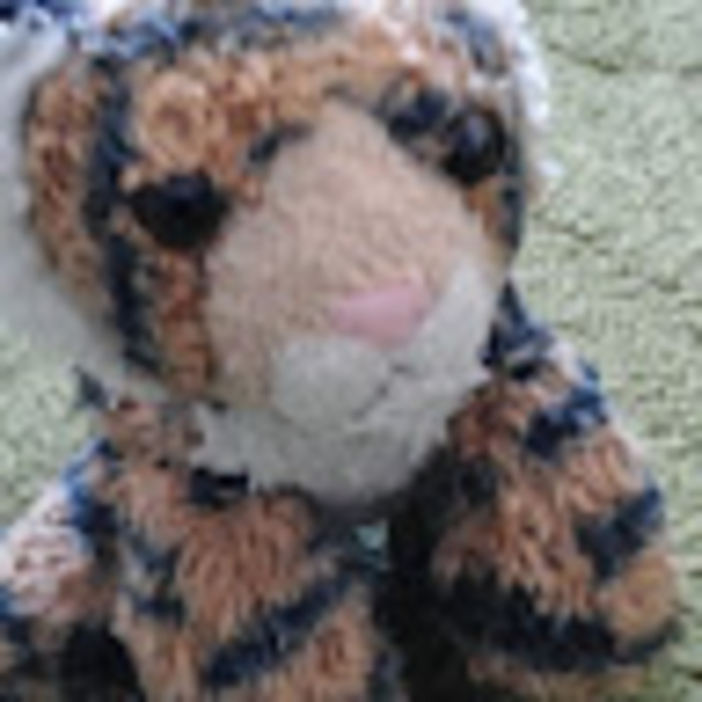 Meet your Posher, Sam